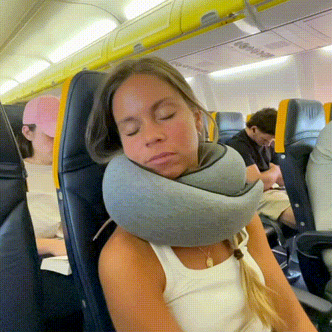 TravelPlus Pillow